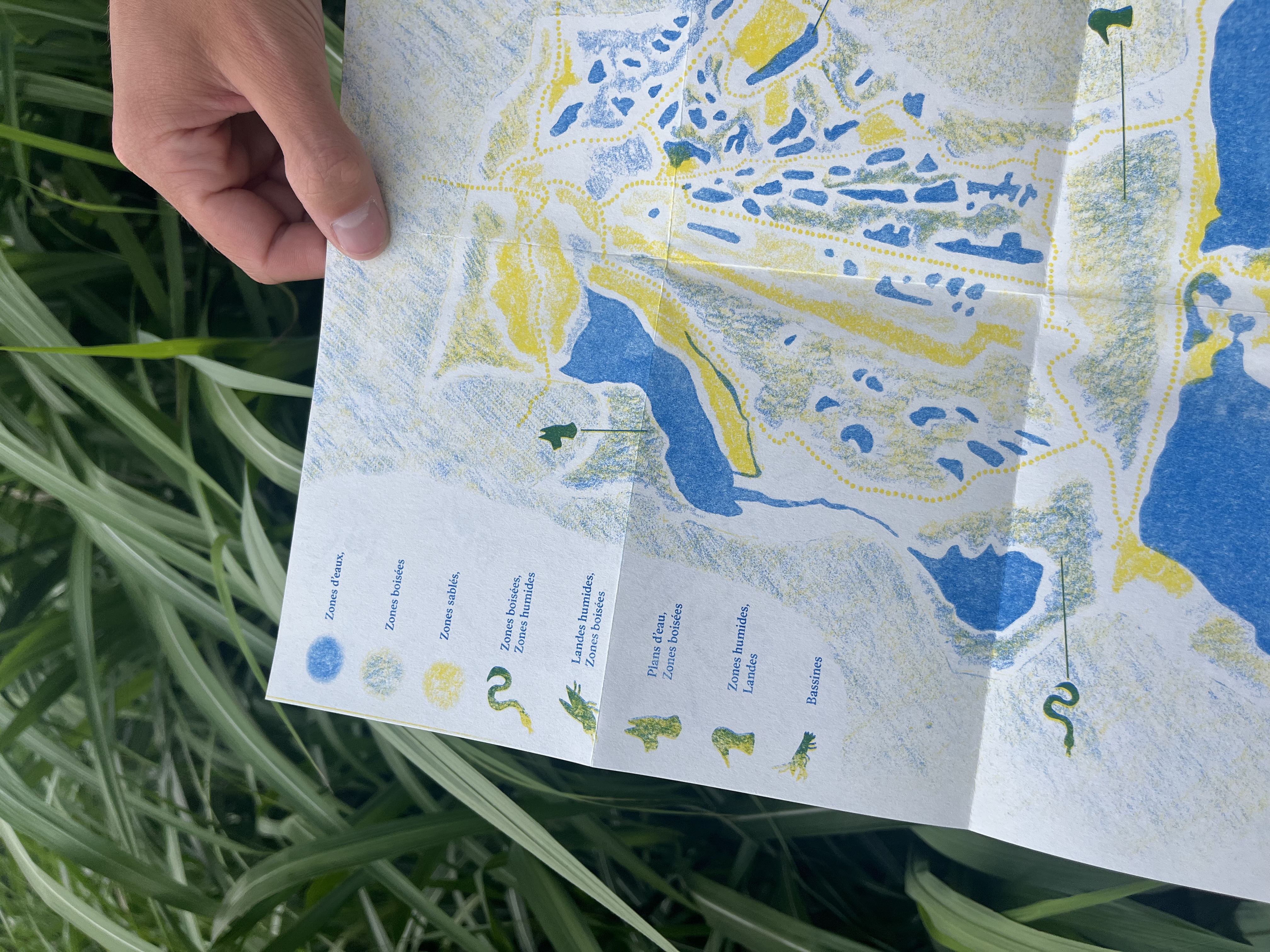 Projet illustration 1